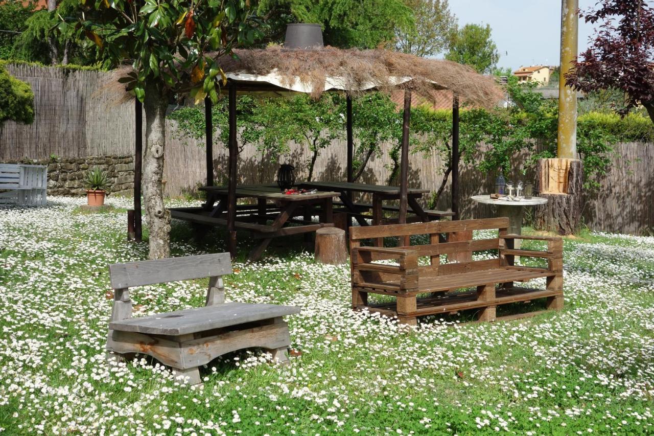 Casa Aloe B&B Монте Сан Савино Екстериор снимка