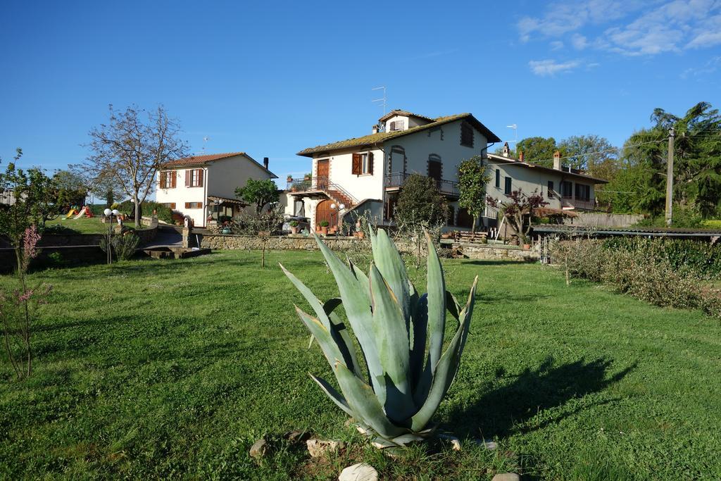 Casa Aloe B&B Монте Сан Савино Екстериор снимка